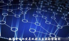 数字货币的发展现状与未来趋势解析