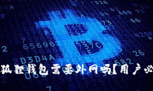 下载小狐狸钱包需要外网吗？用户必看指南