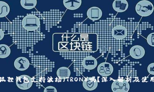 : 小狐狸钱包支持波场（TRON）吗？深入解析及使用指南
