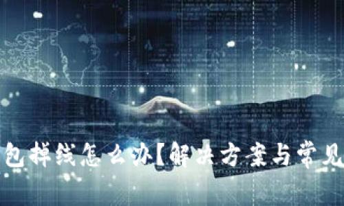 小狐狸钱包掉线怎么办？解决方案与常见问题解答