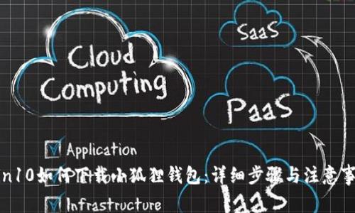 Win10如何下载小狐狸钱包：详细步骤与注意事项