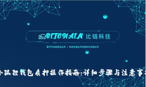 小狐狸钱包质押操作指南：详细步骤与注意事项