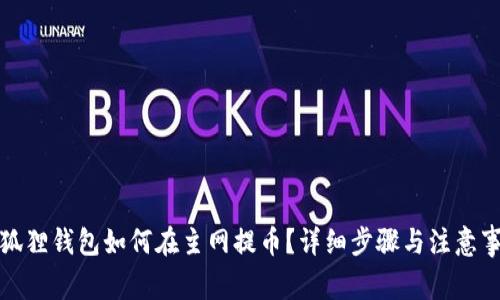 小狐狸钱包如何在主网提币？详细步骤与注意事项